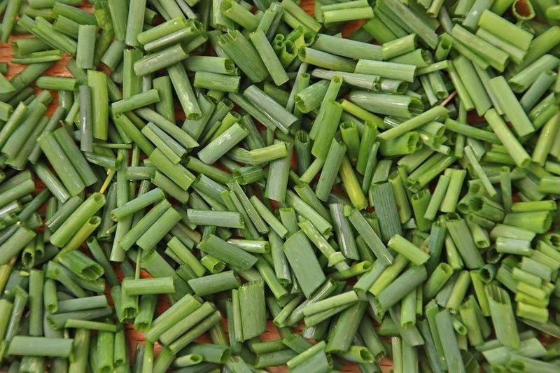 Kochkunst Berlin GmbH - Image 12